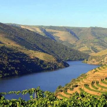 Un dimanche dans la vallée du Douro