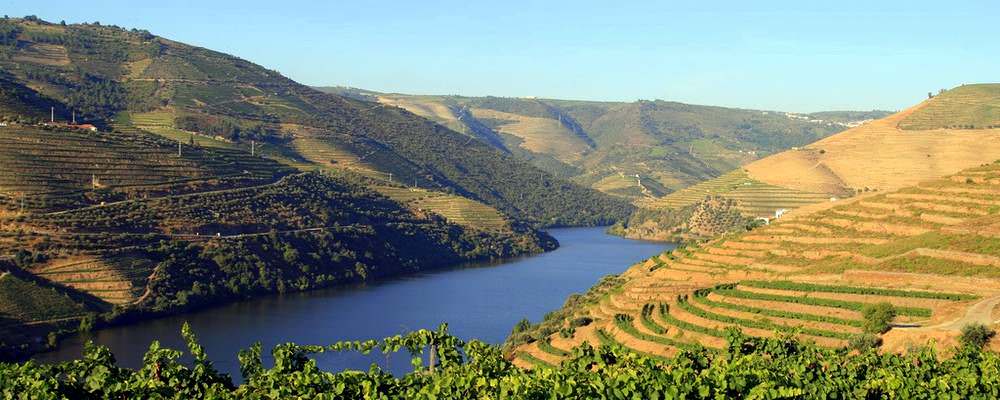 vallee-douro-portugal