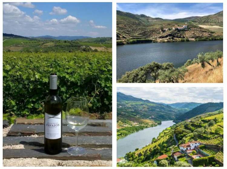 vallee-douro-portugal