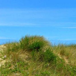normandie-manche