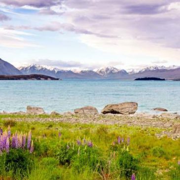 Nouvelle-Zélande en famille, 100 % nature