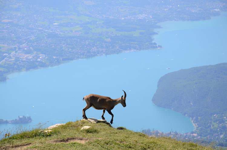 decouverte-haute-savoie-annecy