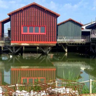 Découvrez la Cité de l’huître à Marennes