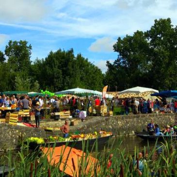 Insolite marché flottant dans le Marais Poitevin