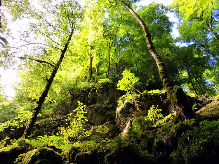 gorges-pont-diable 