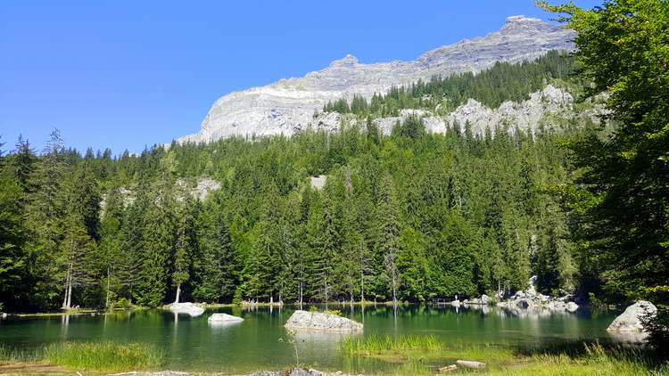 haute-savoie-lac-vert