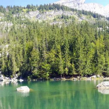Découverte du Lac Vert en Haute-Savoie