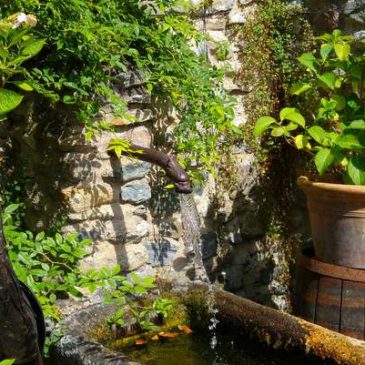 Visite du Jardin des 5 sens à Yvoire