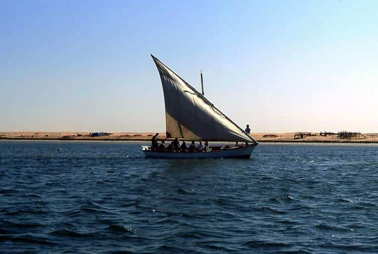 mauritanie-Arguin