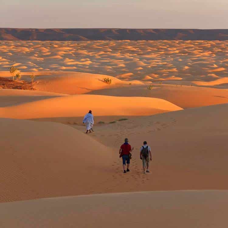 desert-mauritanie