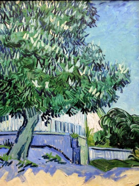 van-gogh-arles 