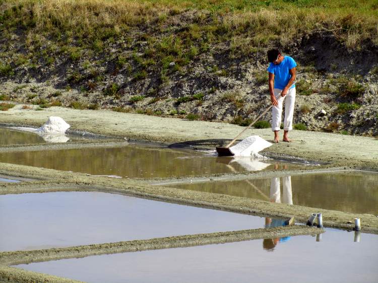 ile-de-re-marais-salants