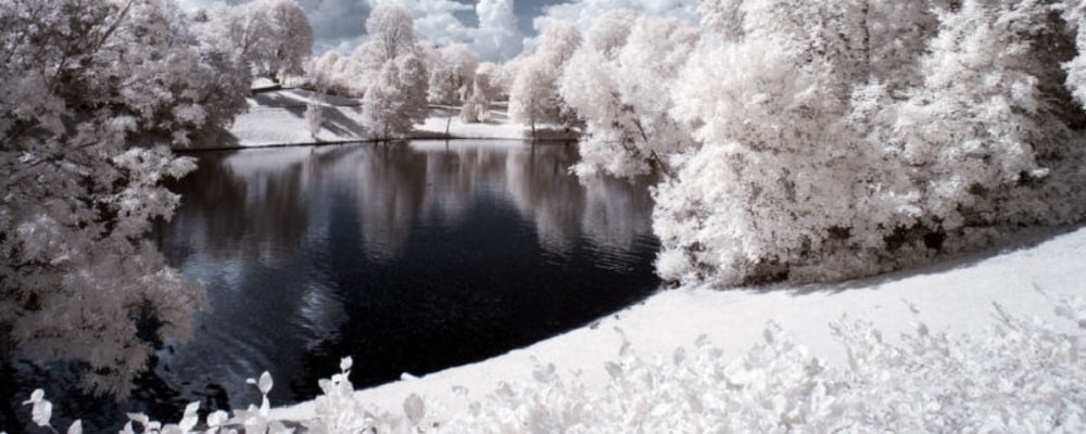 oslo-vigeland