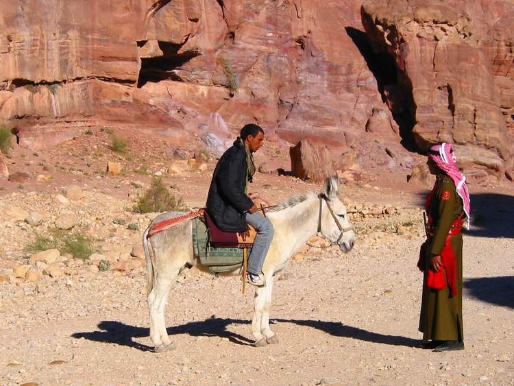 top-5-visite-Petra