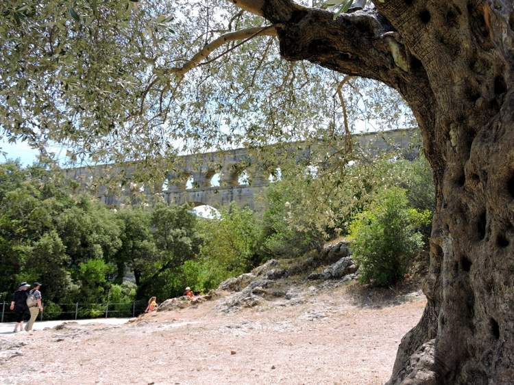 pont-du-gard