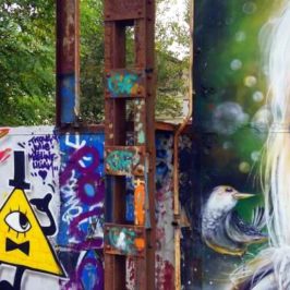 street-art-bordeaux-darwin