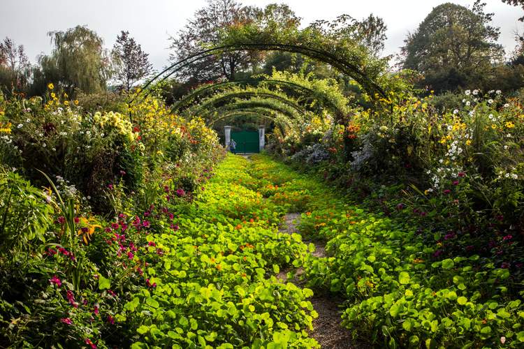 jardin-giverny-Monet