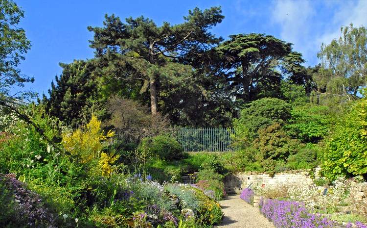 jardin-plantes-museum-paris