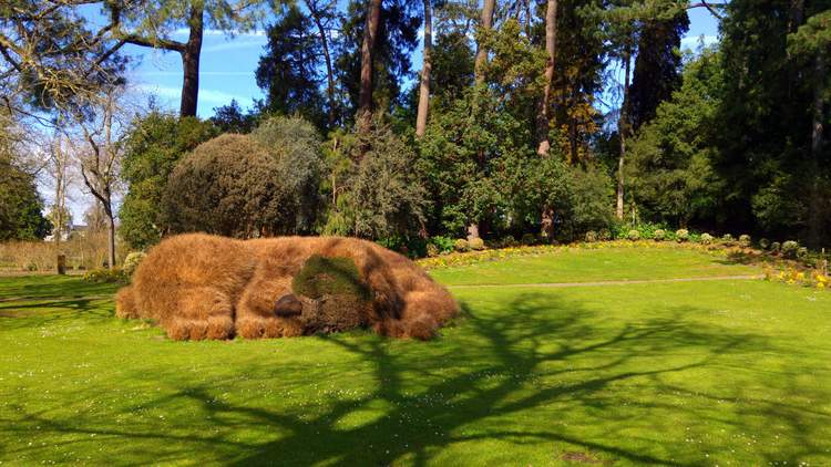 nantes-jardin-plantes