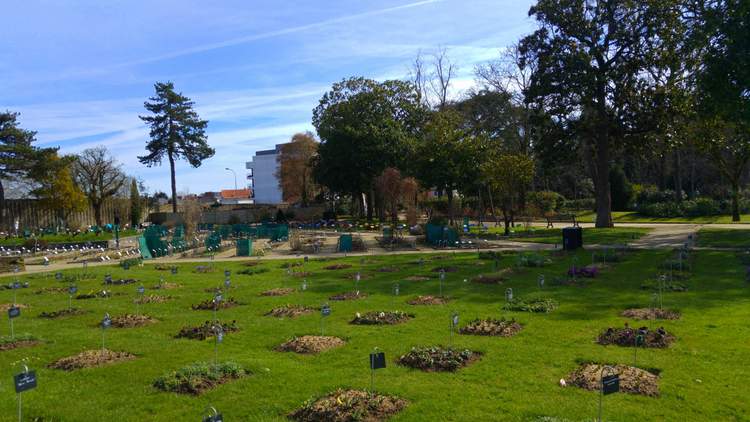 nantes-jardin-plantes