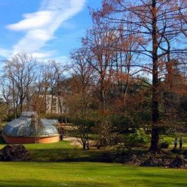 nantes-jardin-plantes