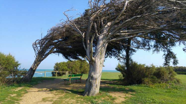 decouverte-ile-oleron