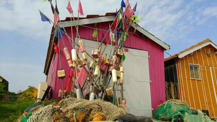 decouverte-ile-oleron