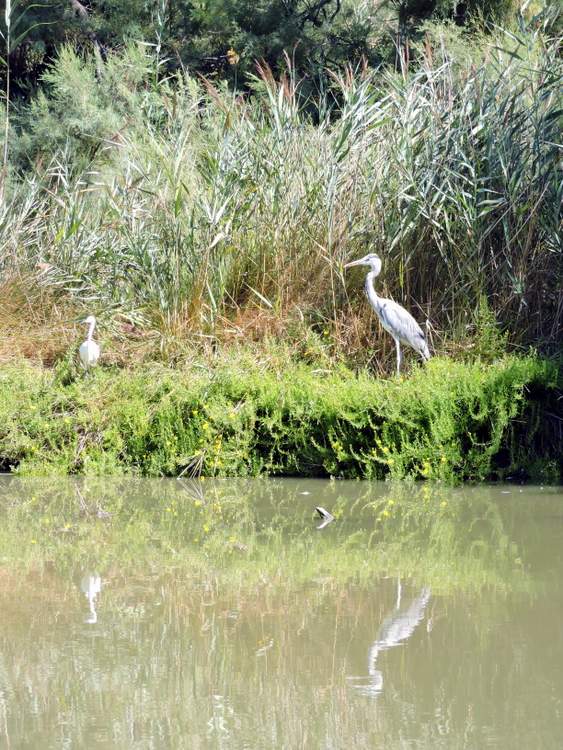 parc-ornitho-pont-du-gau