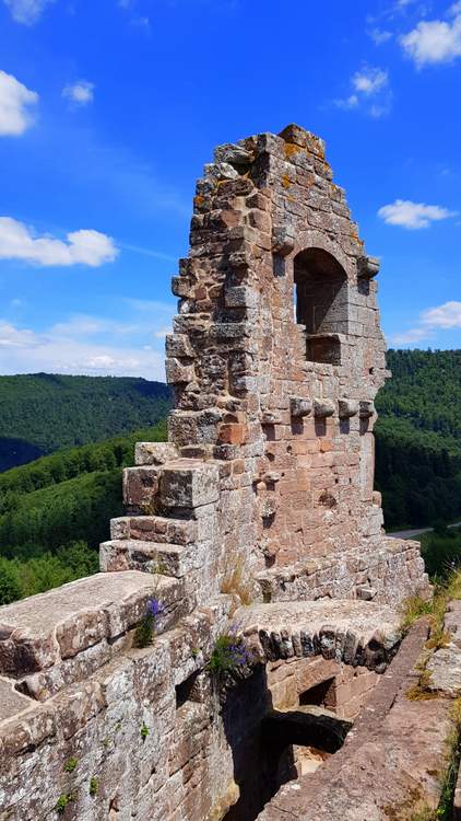 chateau-fleckenstein