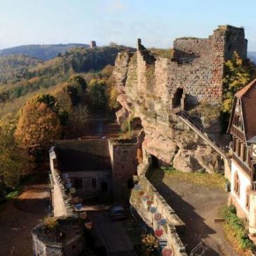 Visite du château du Haut-Barr dans l’Oeil de l’Alsace !