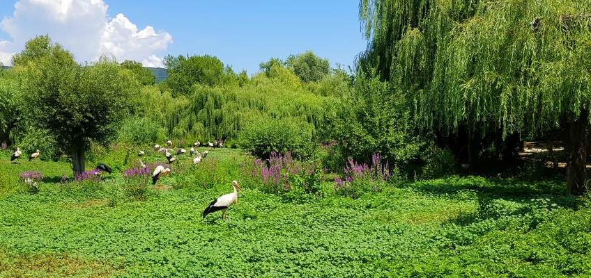 naturoparc en Alsace