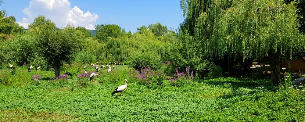 naturoparc en Alsace