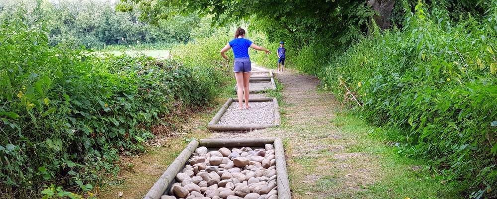 sensoried sentier pieds nus en Alsace