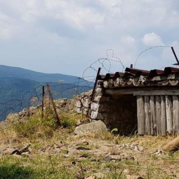 Sur le champ de bataille du Hartmannswillerkopf