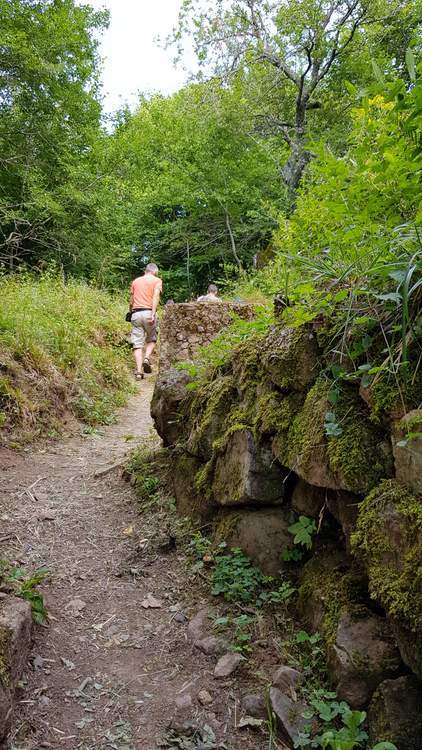 Hartmannswillerkopf-champ-bataille