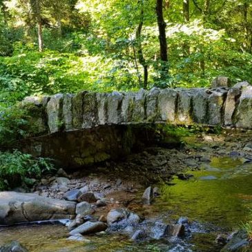 Randonnée dans les Vosges : le saut des Cuves