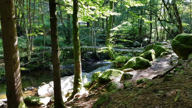 rando-saut-cuves