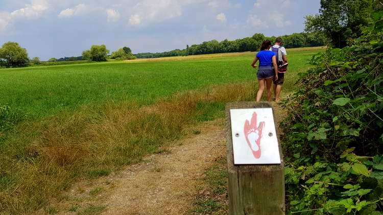 sensoried sentier pieds nus en Alsace