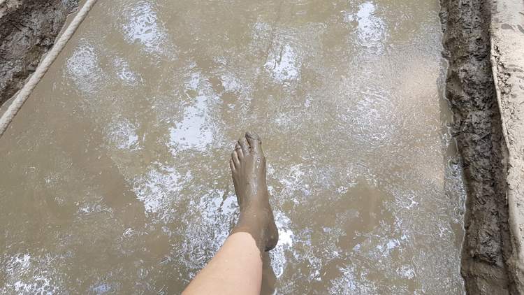 sensoried sentier pieds nus en Alsace