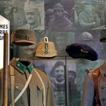Visite du musée franco-allemand de la Grande Guerre au Hartmannswillerkopf