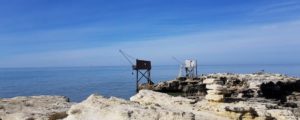 carrelets de Saint Palais sur mer