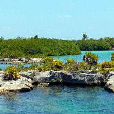 Pourquoi faut-il découvrir le lagon Yal-Ku au Mexique ?
