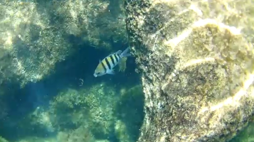 faire du snorkeling au lagon Yal-Ku au Mexique