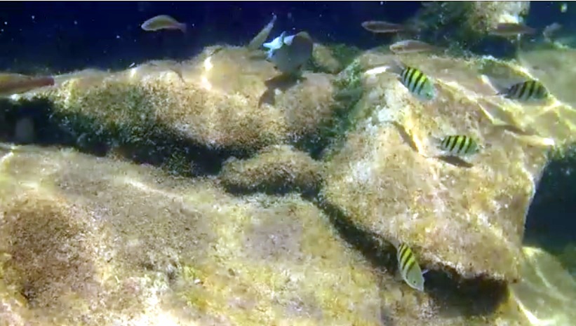 faire du snorkeling au lagon Yal-Ku au Mexique