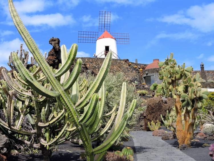 visite du jardin de cactus à Lanzarote aux Canaries