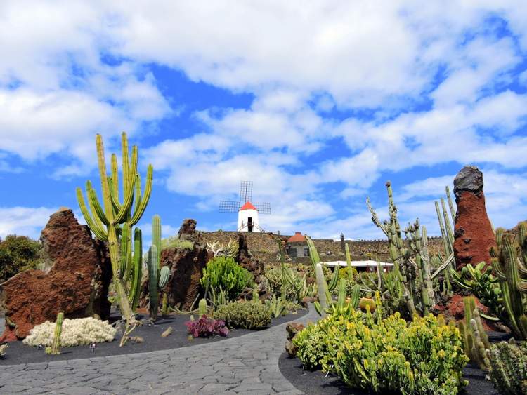 visite du jardin de cactus à Lanzarote aux Canaries