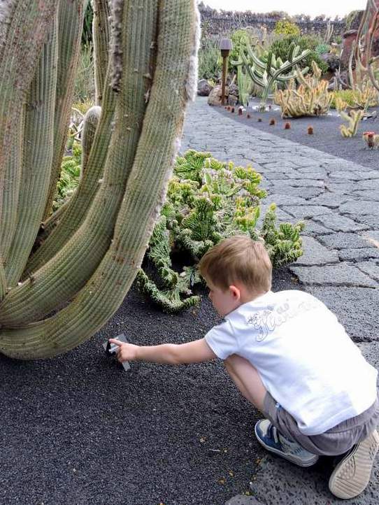 visite du jardin de cactus à Lanzarote aux Canaries
