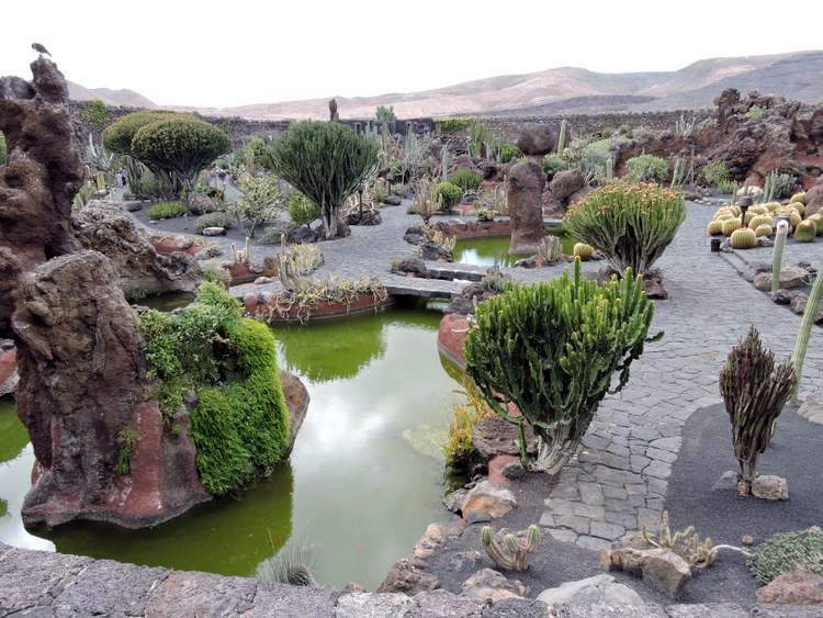 visite du jardin de cactus à Lanzarote aux Canaries