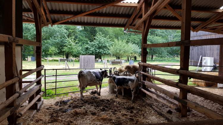 Visitez la Maison du fromage dans la Vallée de Munster