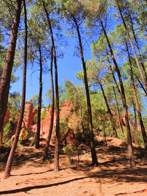 découverte du sentier des ocres de Roussillon dans le Luberon